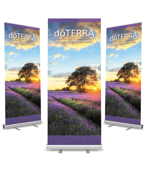 Roll Up Banners, Pull Up Banner
